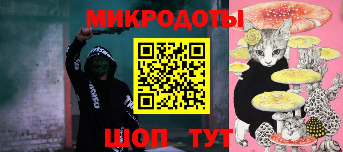 Шарыпово  как найти   Вход с VPN  Псилоцибиновые грибы Psilocybe 