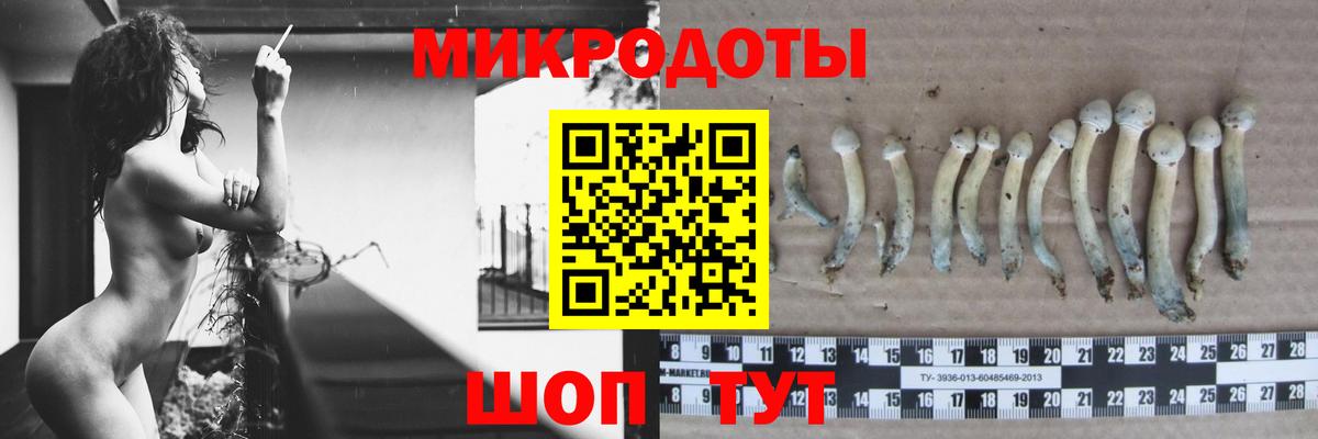 Псилоцибиновые грибы мухоморы Шарыпово